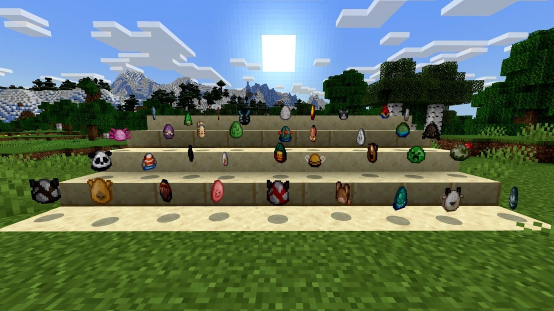 IMAGENES PAGINA (1)