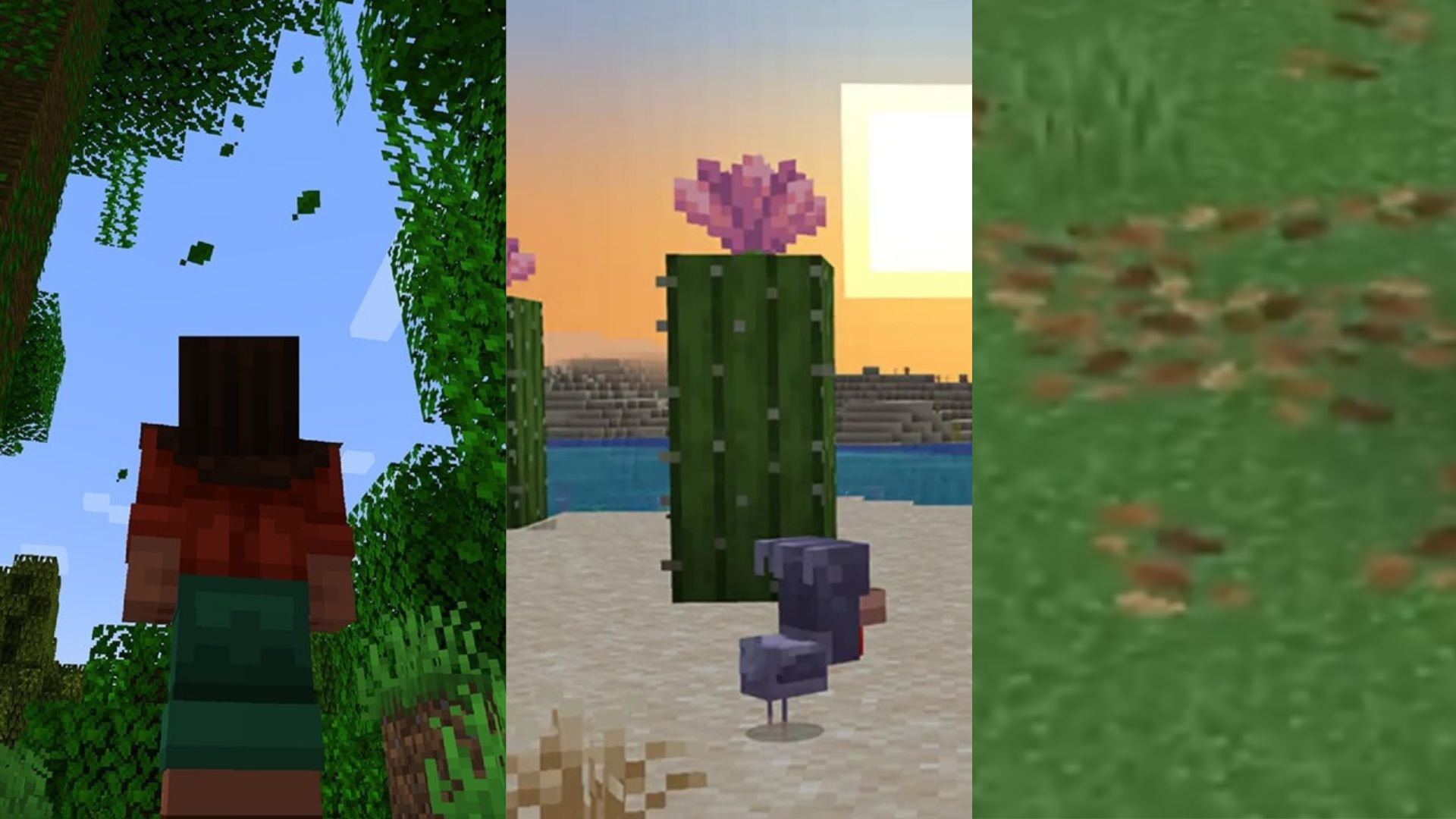 IMAGENES PAGINA (2)