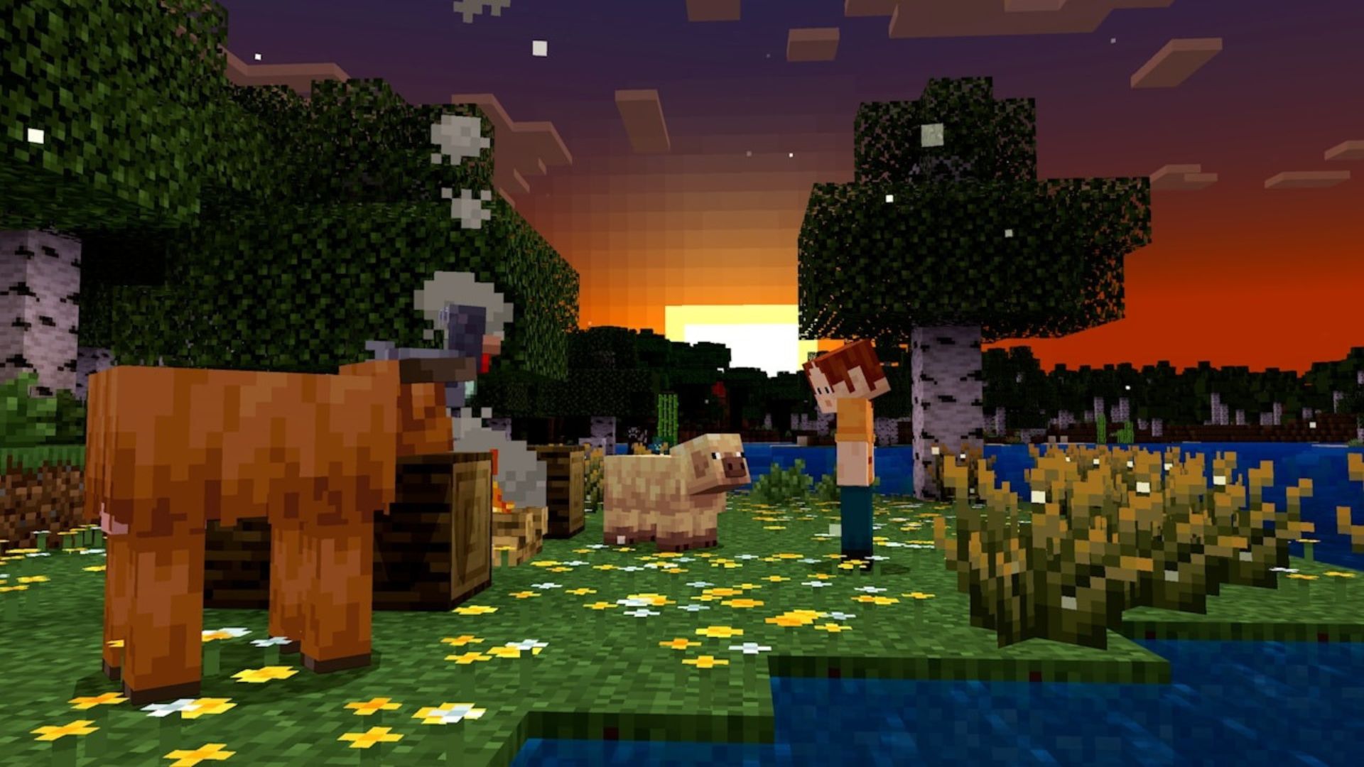 IMAGENES PAGINA (3)